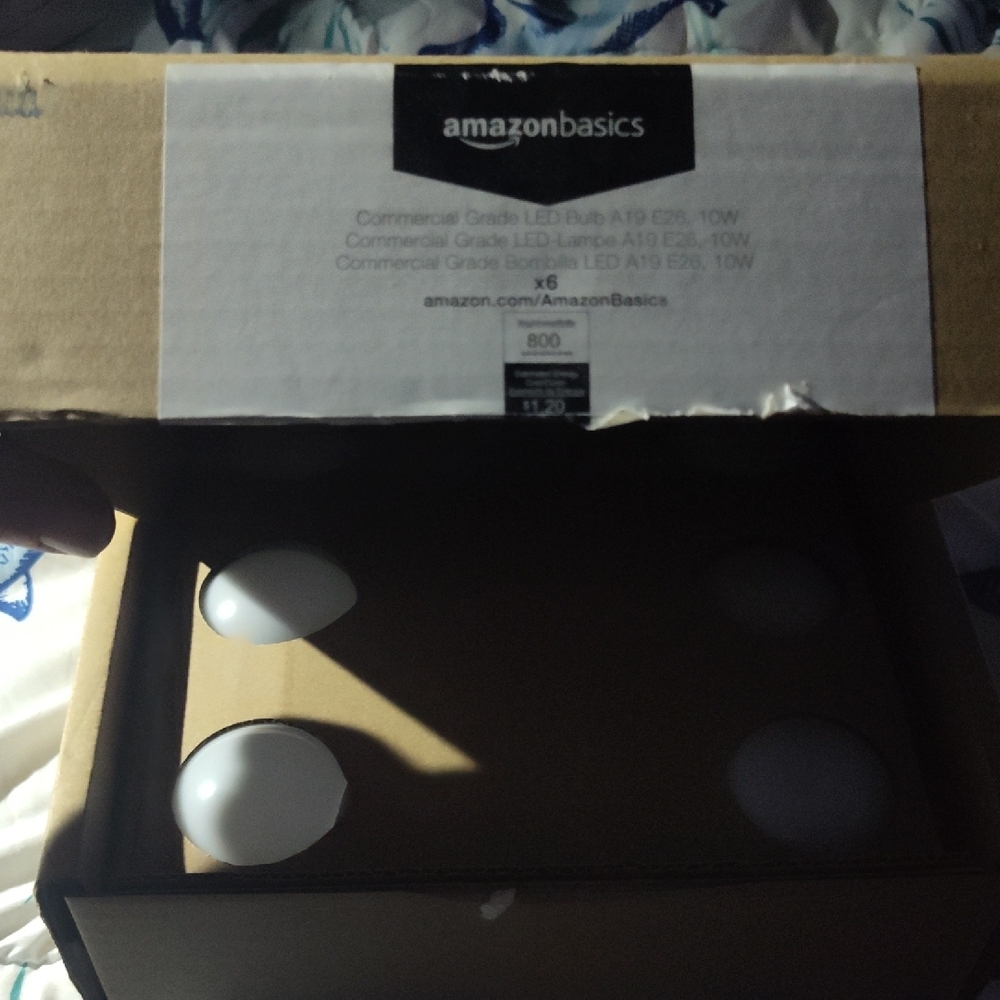 AmazonBasics LED Light Bulbs